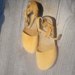 COPY - El Naturalista new